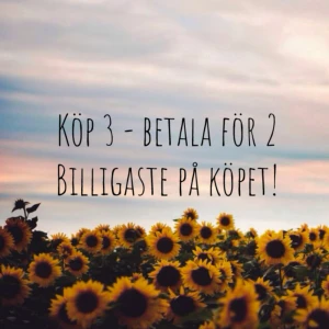  - 🌻🌻🌻🌻🌻🌻🌻