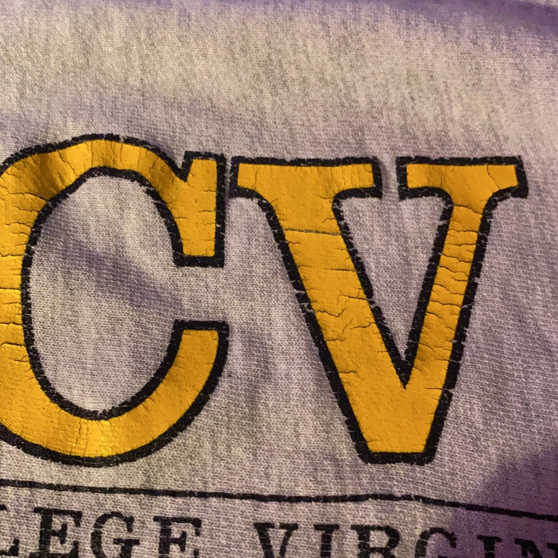 Champion sweatshirt  - 91