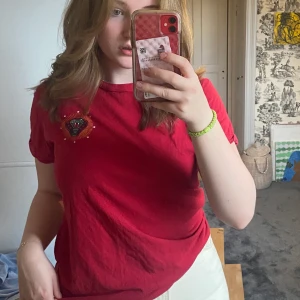 Red snake t-shirt - Red t-shirt bought at hollister about a year ago, not worn more than about five times. Fits oversized for s/m. Price is negotiable if quickly bought 