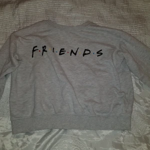 Friendströja - Väldigt fin grå färg samt friendstryck.