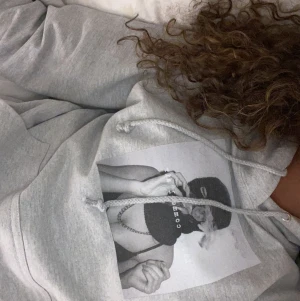 Hoodie - Eget företag där vi beställer in hoodies. 