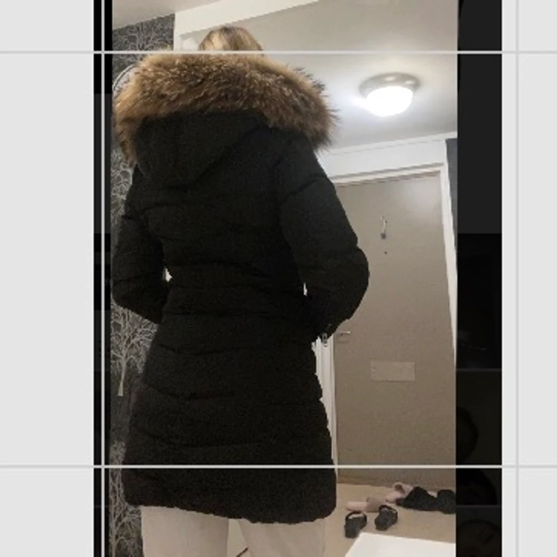 Rock and blue jacka. - 91