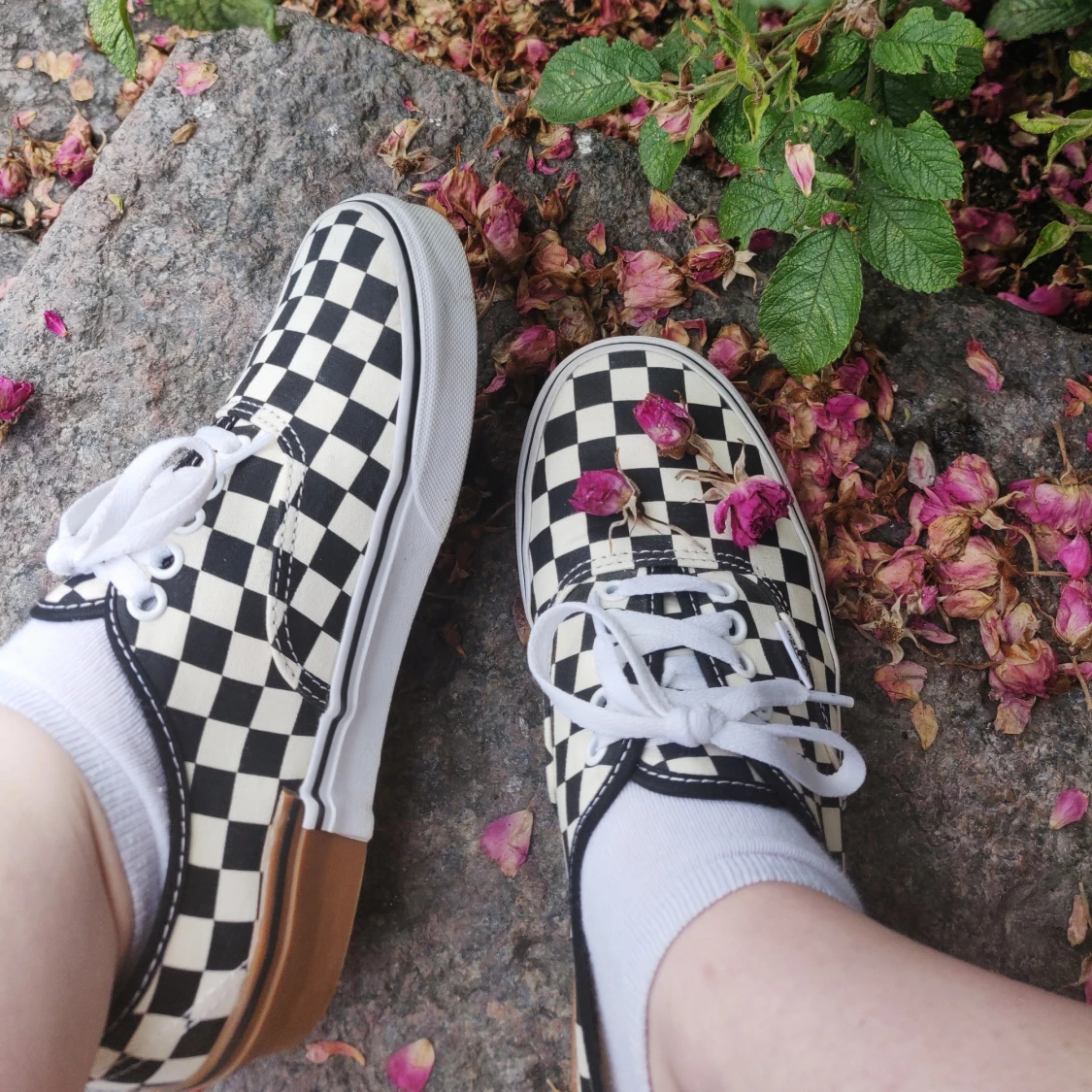 Checkerboard Vans