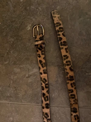 Leopard skärp - Jätte fint leopard skärp