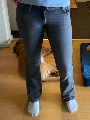 Grå bootcut jeans ifrån lee modell Jessica - Storlek W 27, L 33. Nypris 1100. Snygga grå jeans med bootcut passform och klassisk femficksdesign. Jeansen har normal midja och raka ben som smalnar av något vid knäna och blir vidare nedtill. Perfekta för en avslappnad och trendig look.