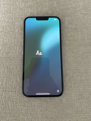 IPhone 13 Pro Max med sprucken backsida  - 256gb. Utmärkt skick 