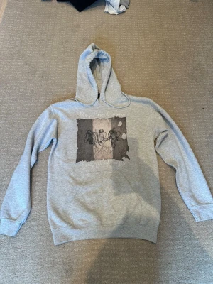 Grå hoodie med paris inspirerad tryck storlek S - Säljer en fet ljusgrå hoodie På bröstet finns ett konstnärligt tryck med änglar och texten 'WALKER PARIS' samt franska fraser. Knappt använd dock inget märke men passar storleken S