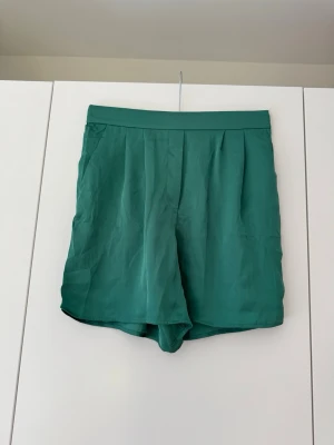 Shorts från H&M - Storlek M. Aldrig använd. Nypris är 249 kr.