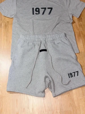 Grå t-shirt  från Essentials - Säljer ett par grå shorts från Essentials med trycket '1977' på vänster ben. De har elastisk midja med snörning och sidofickor. Perfekta för chill dagar eller när du vill ha en avslappnad stil. Pris kan diskuteras shortsen är storlek L och t-shirten är storlek M