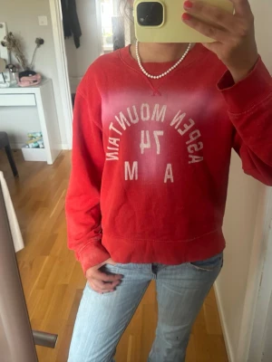 Sweatshirt  - Röd sweatshirt från Zara. Använd några gånger men är i bra skick. Väldigt liten i storlek så sitter som en S eller XS