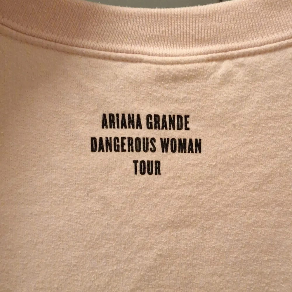 Säljer en superfin rosa sweatshirt från Ariana Grandes Dangerous Woman Tour. Den är väldigt oversized. Har en liten fläck på varsin arm vid mudden (märks inte så mycket) men annars i bra skick. Kom privat för frågor💕. Tröjor & Koftor.