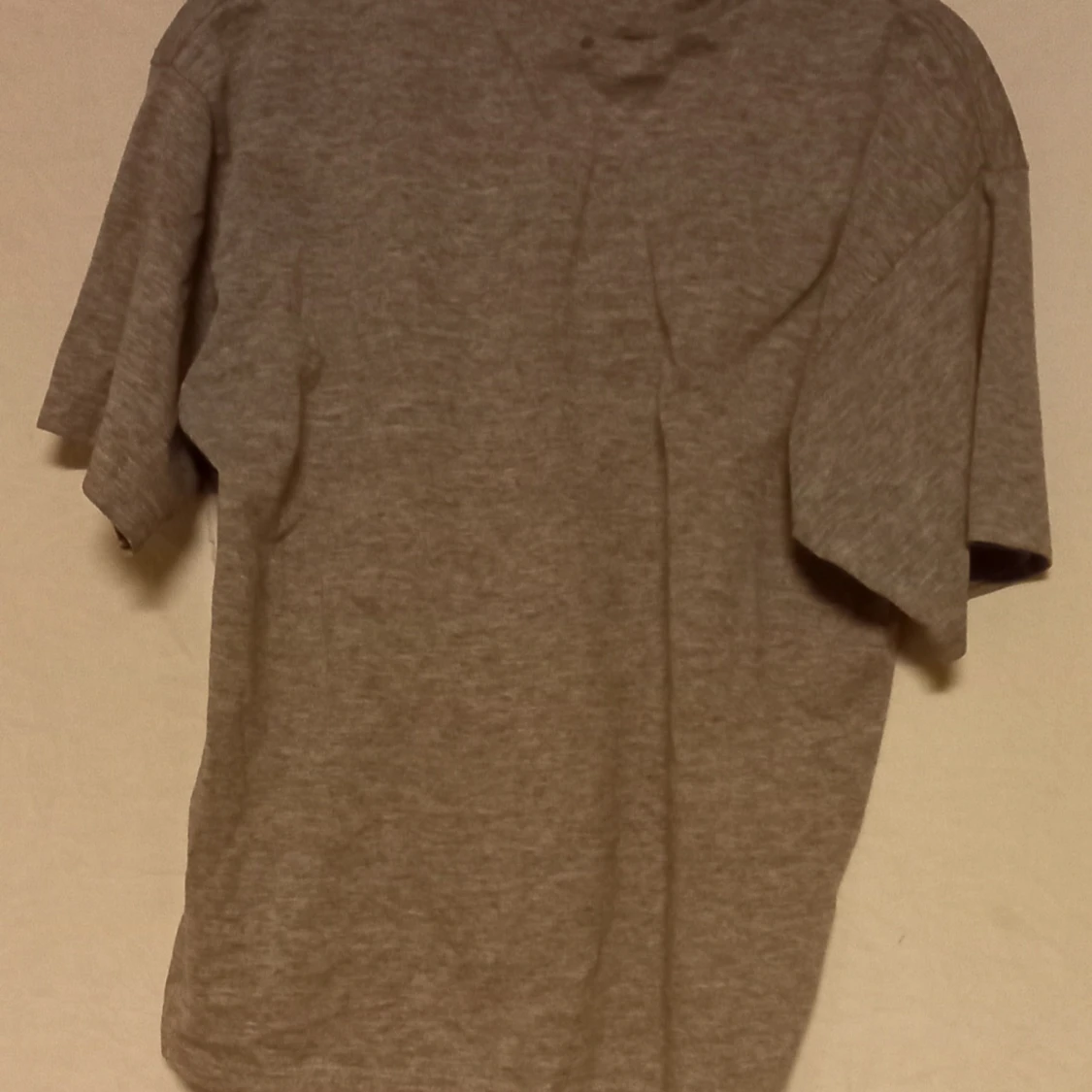 Grå Jurassic Park barn t-shirt - 90