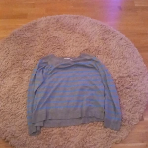 Grå och blå randig tröja från Zara - Säljer en grå och blå randig finstickad tröja från Zara. Jätte fint skick inga defekter vad jag kan se.💞