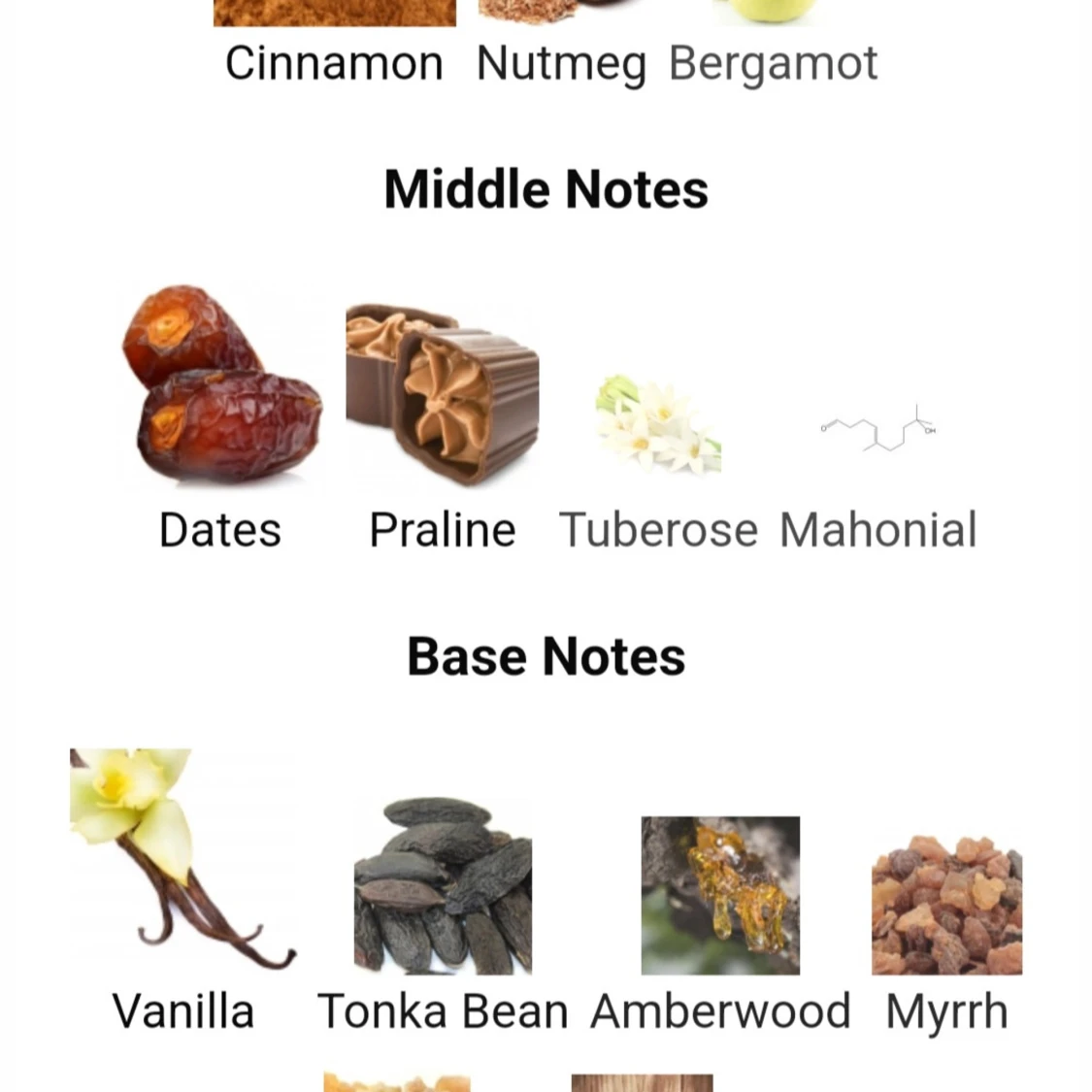 Lattafa Khamrah  (SAMPLES) 1/2/4/5 - 2