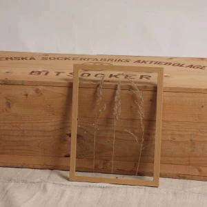 Träram med torkade växter - En stilren träram med torkade växter inuti, perfekt för att ge en naturlig touch till inredningen. Ramen är rektangulär och gjord av ljust trä, vilket ger en varm och jordnära känsla. Passar utmärkt som dekoration i hemmet.