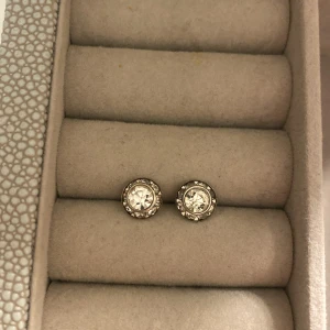 Silverfärgade örhängen med stenar - Dom har blivit lite missfärgade därav priset