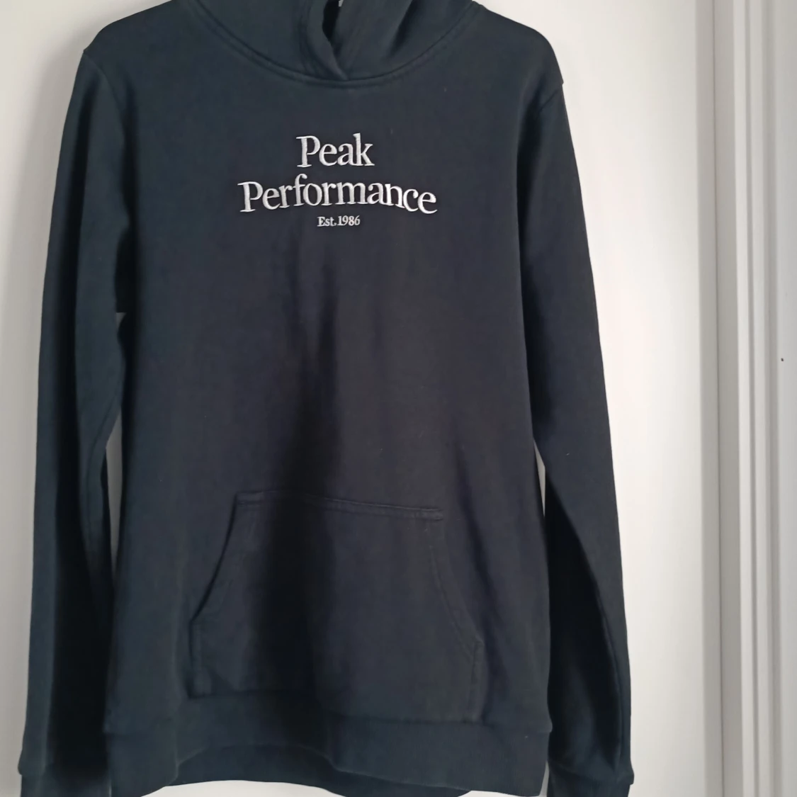 Peak Performance hoodie
