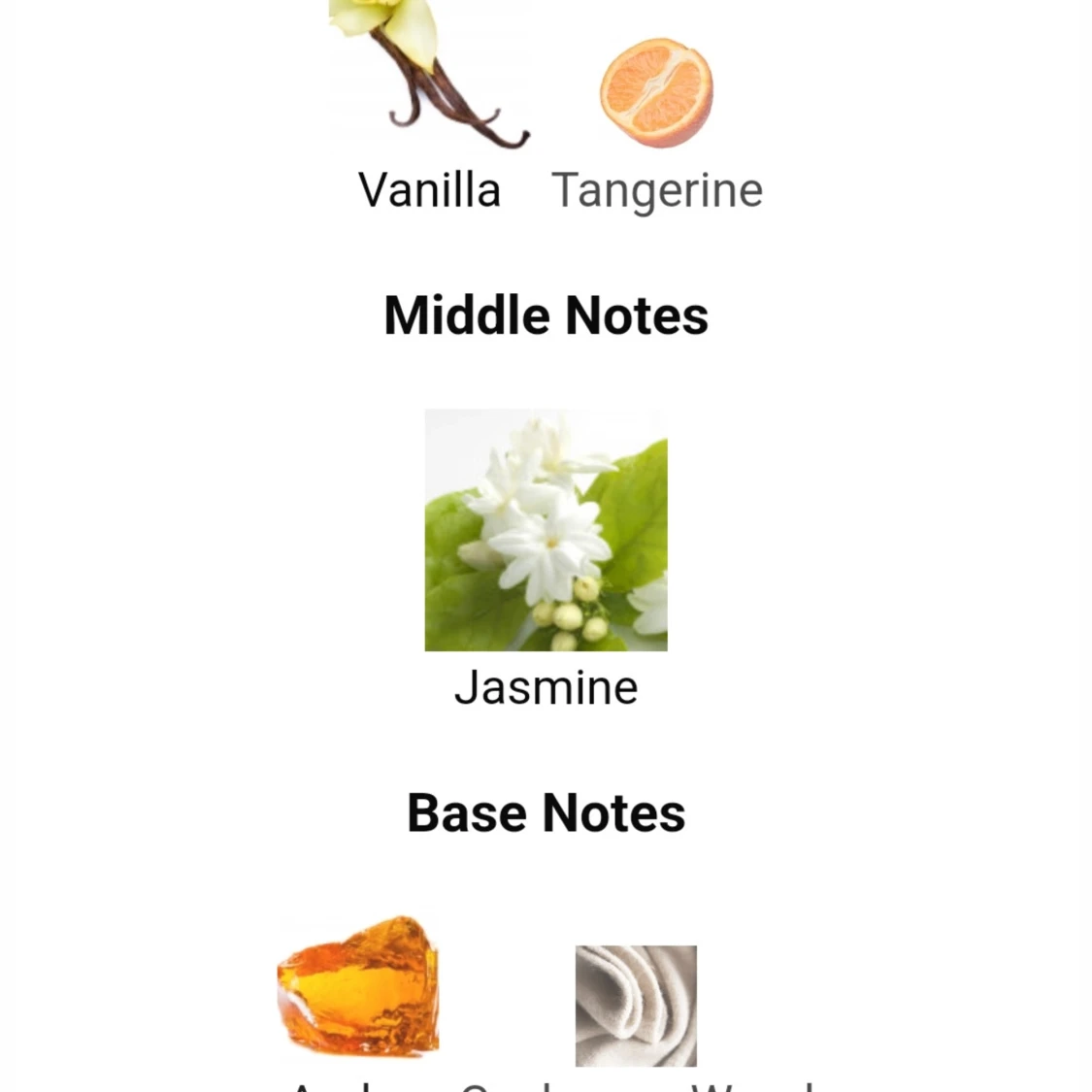 Georges Rech Gold Edition EDP 100ml - 93