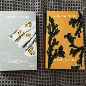 Öppet Hav och Havets Djup av Annika Thor - Det finns inskriptioner på den med blyerts och penna Två böcker av Annika Thor: 'Öppet Hav' med ett grått omslag prytt med gula rosor och 'Havets Djup' med ett orange omslag dekorerat med svarta alger. Perfekt för den som älskar spännande och gripande berättelser.