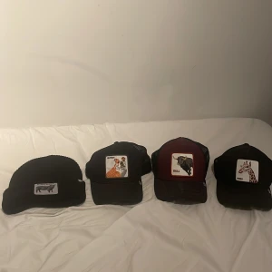 Goorin bros paket  - En mössa och tre styckna goorin bros kepsar. Mössan och samtliga kepsar förutom giraffen är i bra skick förutom att giraffens baksida är lite paj. Tveka inte på att höra av dig vid frågor eller intresse :)