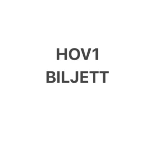 HOV1 Biljett - Säljer två biljett till HOV1:s konsert i stockholm på gärdet. INTE early entrence. pris kan diskuteras.