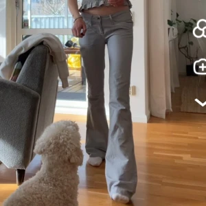 Fornarina jeans långa - Jag är 180cm lång, jeansen är lågmidjade och randiga