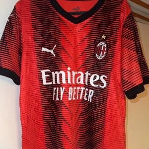 Röd AC Milan fotbollströja från Puma - Snygg röd AC Milan fotbollströja med svarta detaljer och klubbmärke på bröstet. Tröjan har korta ärmar och ett randigt mönster. Puma-loggan syns på bröstet och ärmarna. Namnet 'Rafa Leão' och nummer 10 pryder baksidan.