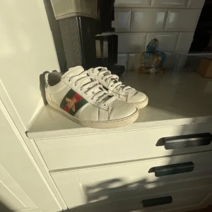 Gucci ace  - Säljer ett par Gucci ace| storlek 42 | har box och allt og | priset är ej hugget i sten | hör av er vid intresse.
