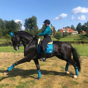 SCHABRAK  - Snyggt dressyr schabrak från equito, bra skick, har hela sättet om man vill ha d också, full