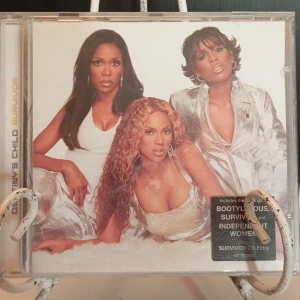 Destinys child - Survivor 