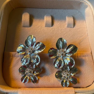 Örhängen - Silvriga örhängen aldrig använda 🩷