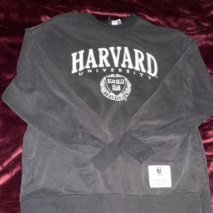 Grå sweatshirt med Harvard-tryck - Snygg grå sweatshirt med stort Harvard University-tryck i vitt på framsidan. Tröjan har långa ärmar och ribbade muddar vid ärmslut och nederkant. Perfekt för en avslappnad stil.