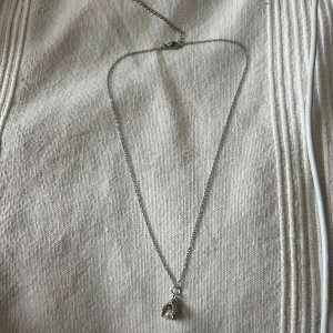 Silver halsband  - Justerbar och rostfri stål 