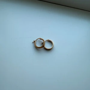 Guldörhängen med stenar från Edblad  - Snygga guldörhängen i med små stenar på insidan. Perfekta för att ge en elegant touch till din stil. Lätta att bära och passar till många olika tillfällen.