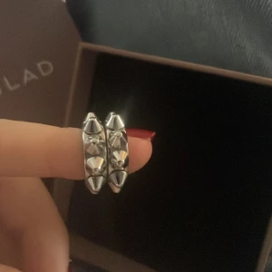 Edblad örhängen silver - Säljer dom här för jag e guld tjej💓inte kopplat till företaget💓 ny pris 400 säljer för 150kr