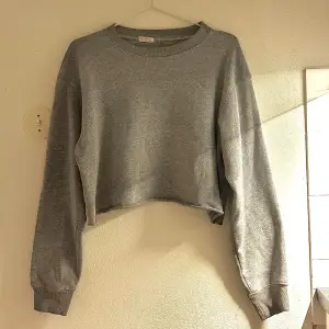 Croppad sweatshirt från Brandy Melville i grått. Fint skick, använd vid fåtal tillfällen. 