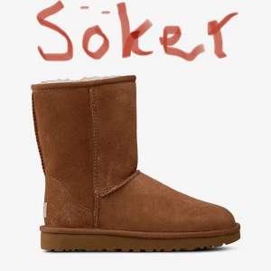 Söker Ugg short strl 41/42 - Söker Ugg short strl 41/42