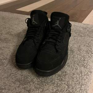 Jordan 4 blackcats användt endast i 3-4 månader. Priset kan diskuteras!