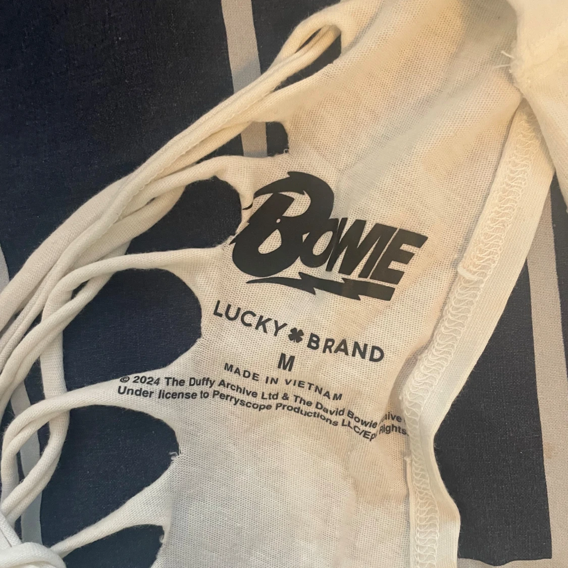 David Bowie linne (detaljerad rygg) - 91