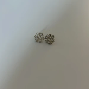 Örhängen  - Säljer dessa fina örhängen då dem aldrig kommer till användning längre. 