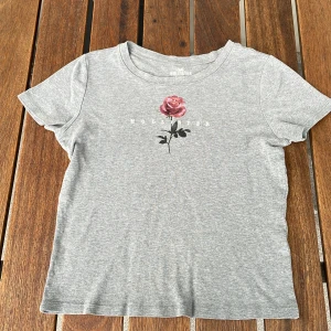 Grå t-shirt från Hollister med ros - Säljer denna fina t-shirt från Hollister som inte kommer till användning💕Den är i bra skick💕Den har en tryckt ros på framsidan och texten 'Hollister' på🌹Pris kan diskuteras💕