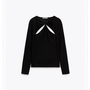 Tshirt med cut out  - långärmad topp från zara med öppen rygg. stretchigt material så passar många. endast använd en gång så i superfint skick. 