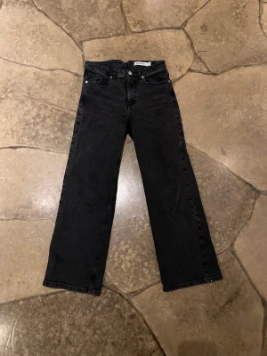 Carin Wester jeans - Vida jeans