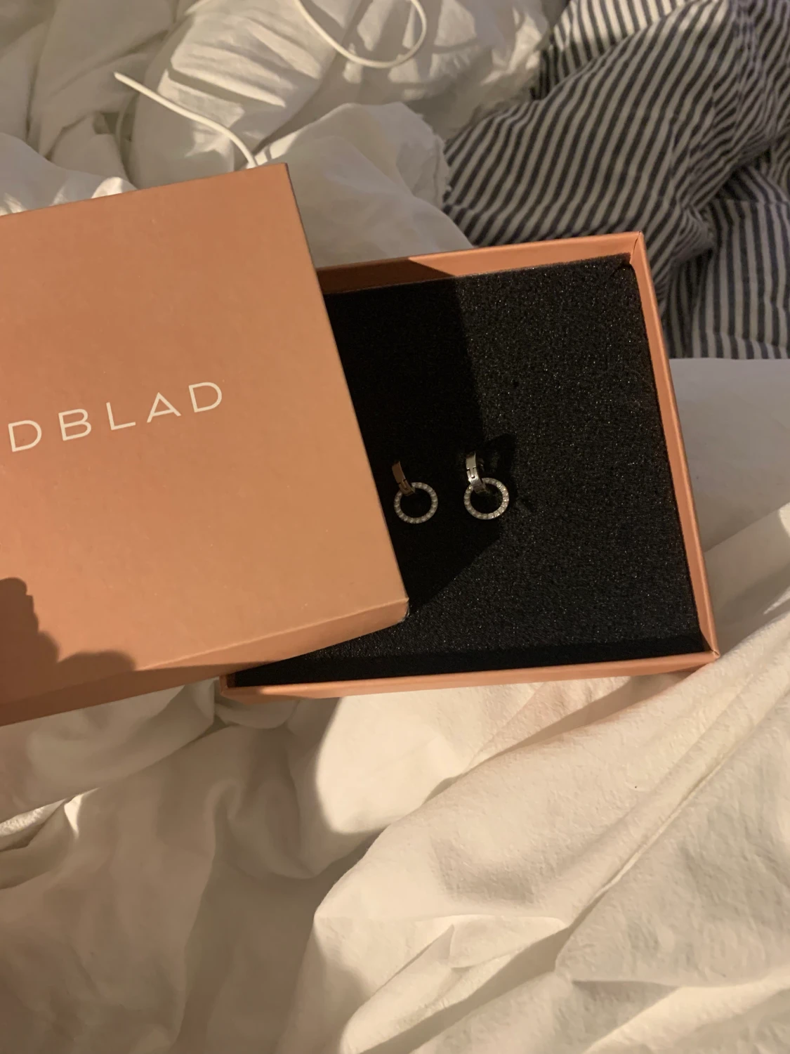 Edbladsörhängen - 90