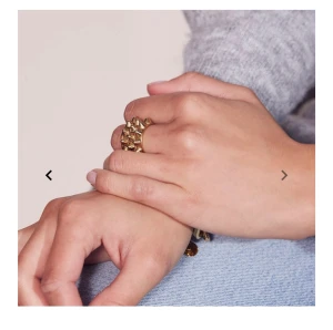 Edblad ring  - Jätte fin trendig ring från Edblad, knappt använd och jätte bra sick!