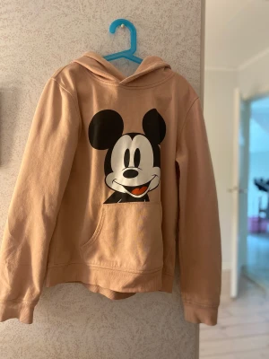 Tröja  - En jätte gullig tröja som är i bra skick. Jag köpte den för 350kr och säljer den för 150kr plus eventuellt frakt. I storlek 146-152