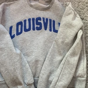 Jätte fin hoodie💙 - Använd lite men inte mycket. Väldigt skönt material och kommer från Gina tricot