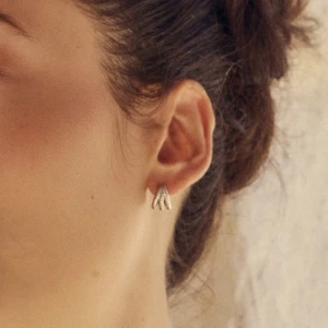 Örhängen  - Säljer mina Rope Creoles Triple Steel från Edblad för att jag inte andvänder silver. Dom är aldrig andvända (inte äns testade). Köpta för 299kr