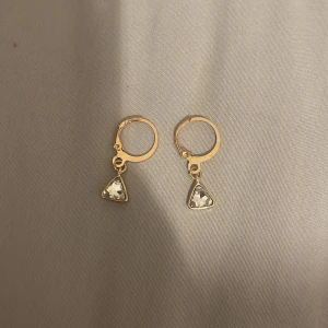 Örhängen  - Helt oanvända örhängen 