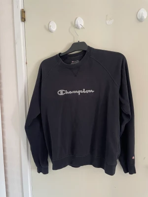 Vintage tröja från champion  - Fin tröja som är väl använd men bra skick får tyvärr inte användning av den längre!